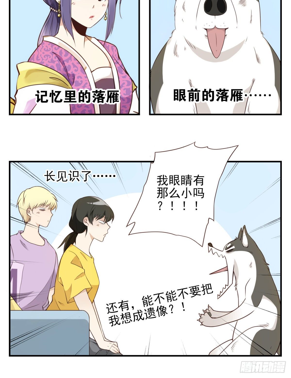 006-好丑的狗25
