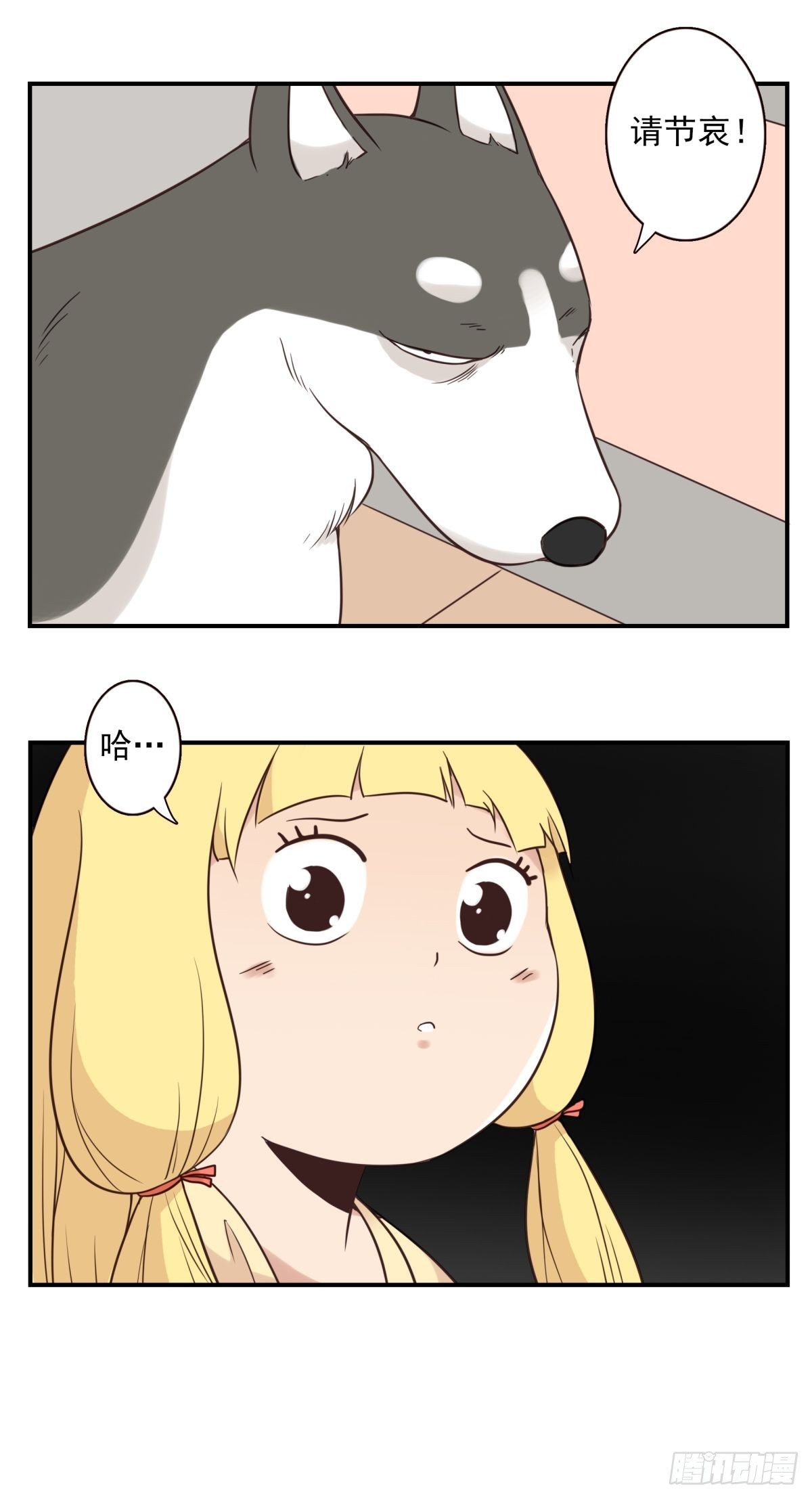 055-穷追不舍24