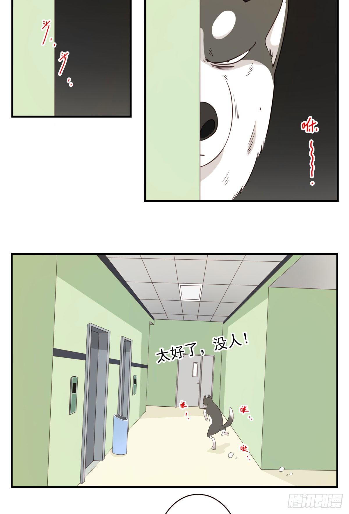 006-好丑的狗2