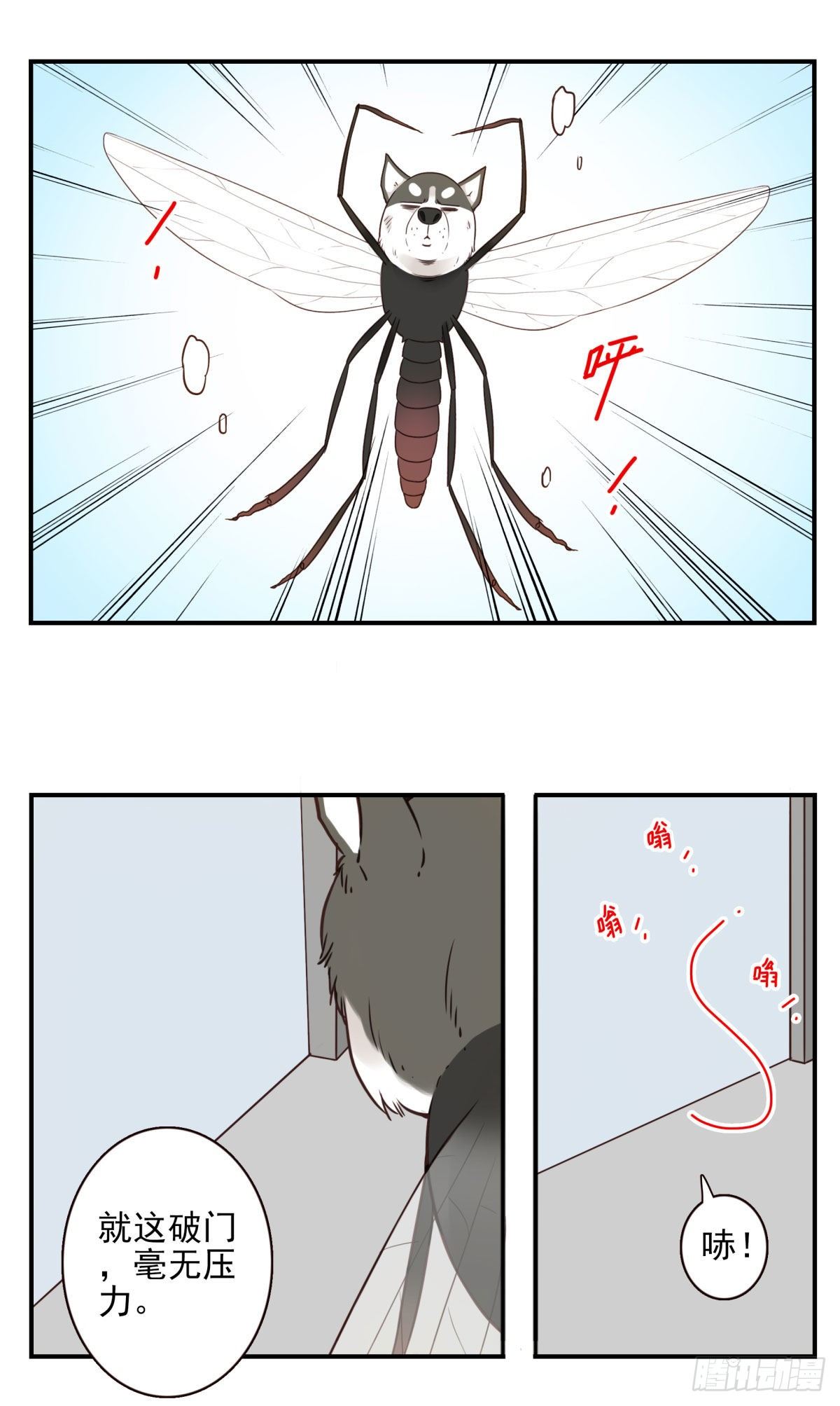 006-好丑的狗14
