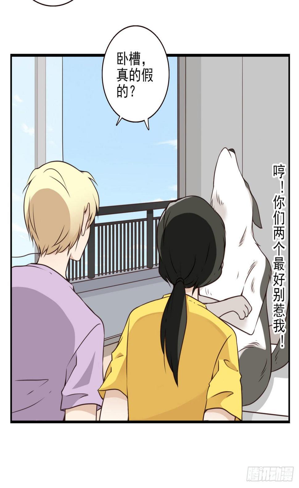 006-好丑的狗27