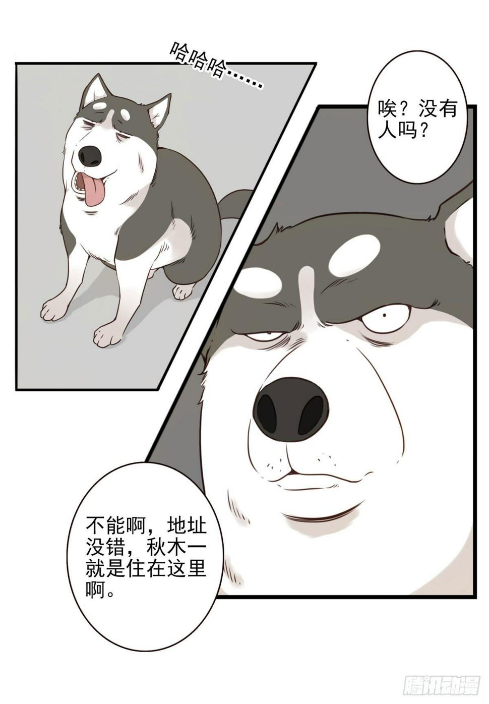 006-好丑的狗11