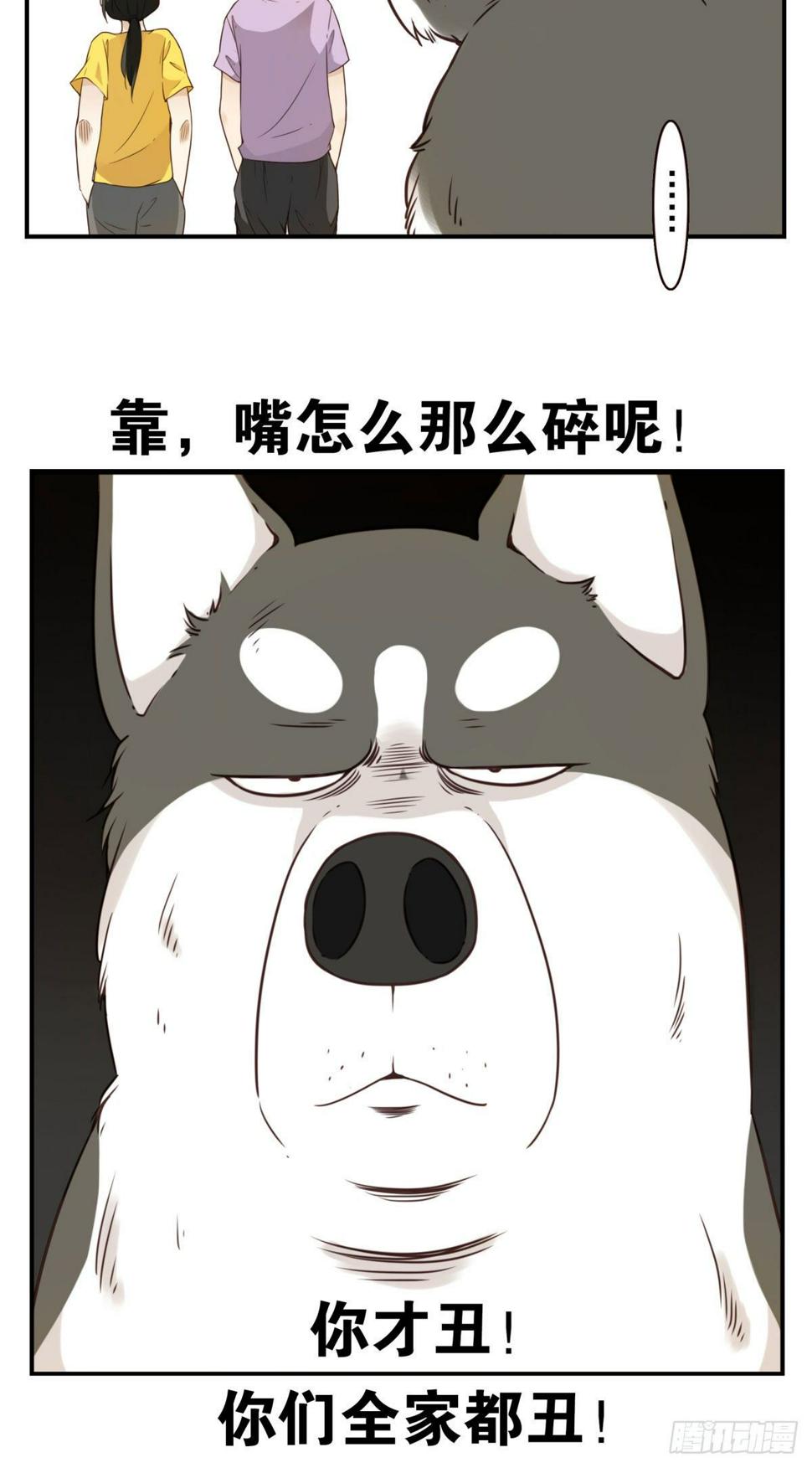 006-好丑的狗8
