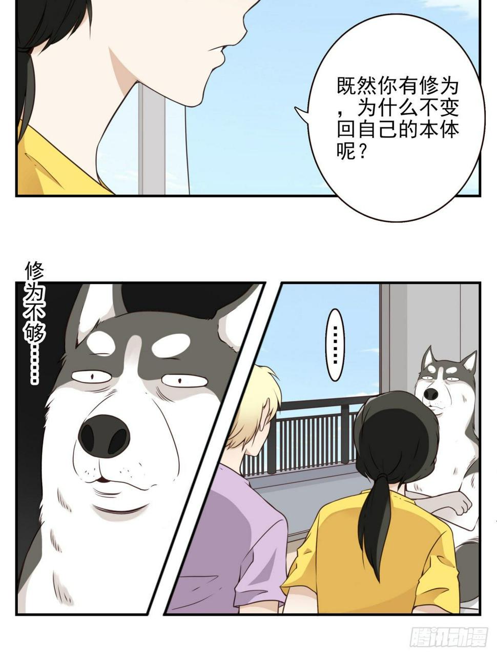 006-好丑的狗29