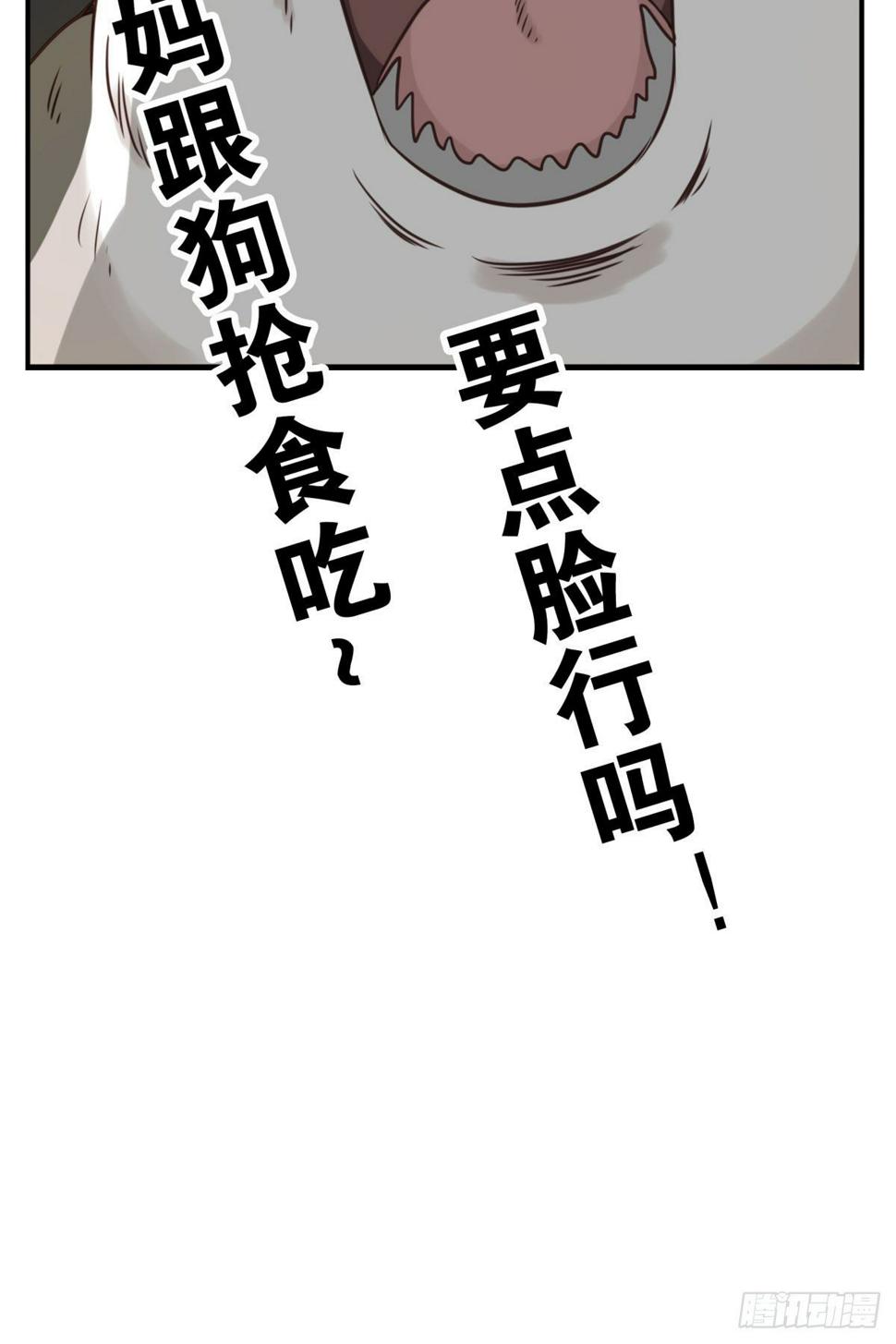 006-好丑的狗37