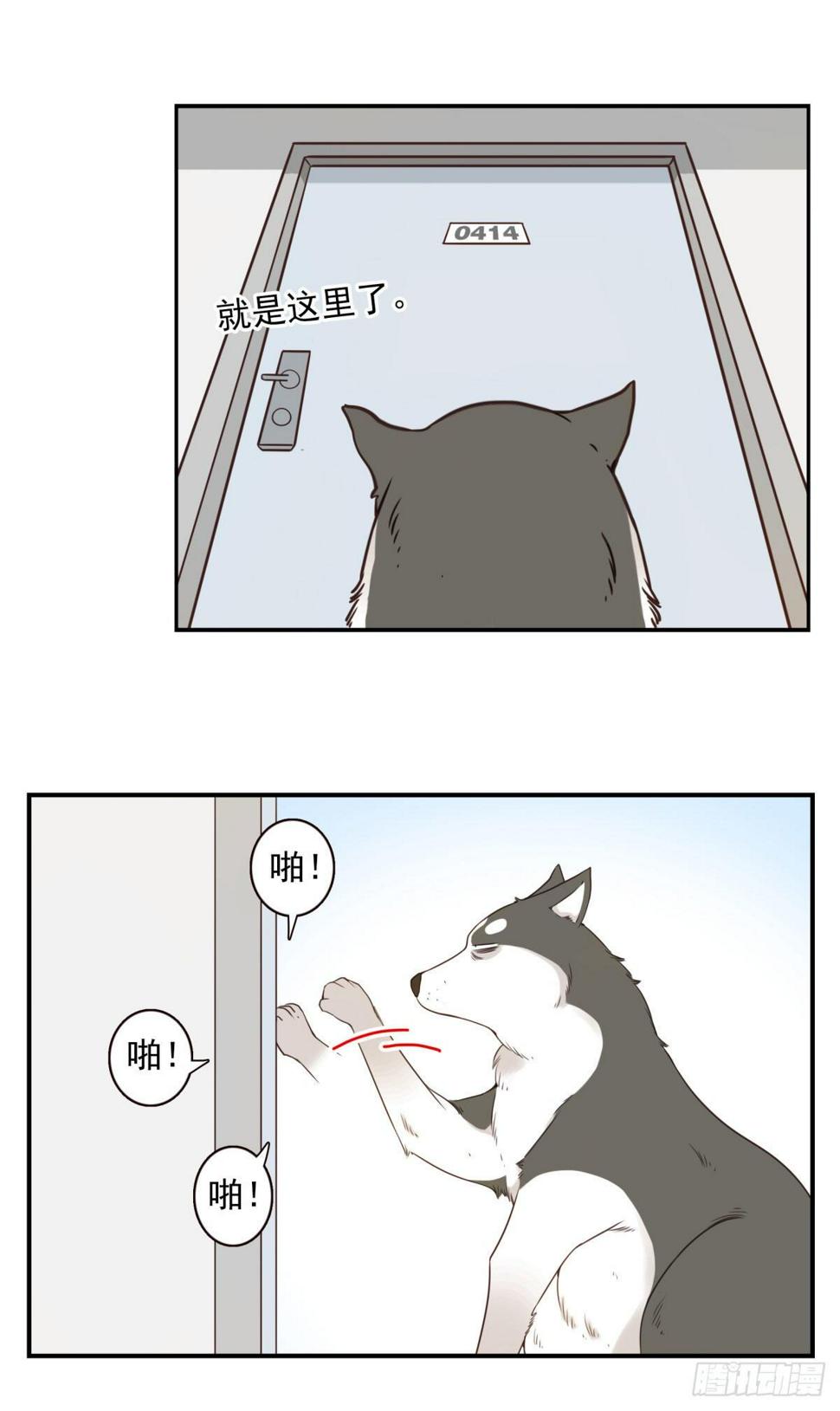 006-好丑的狗10