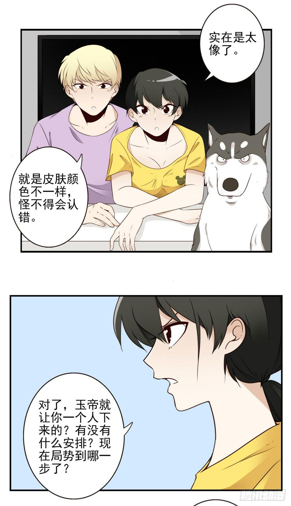 023-我爹安排2