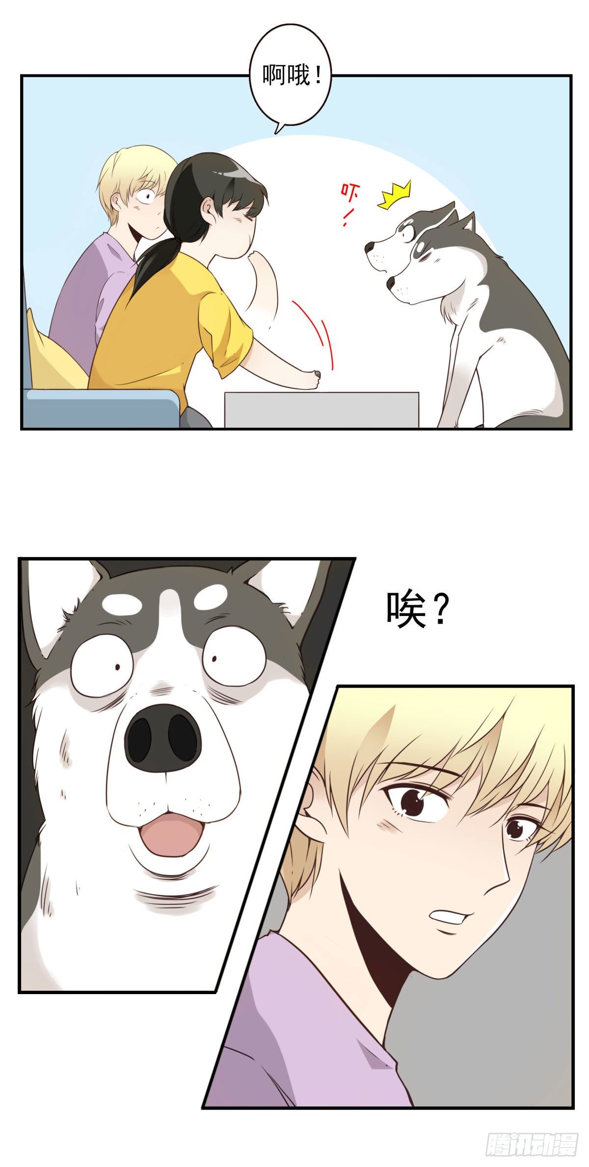 006-好丑的狗34