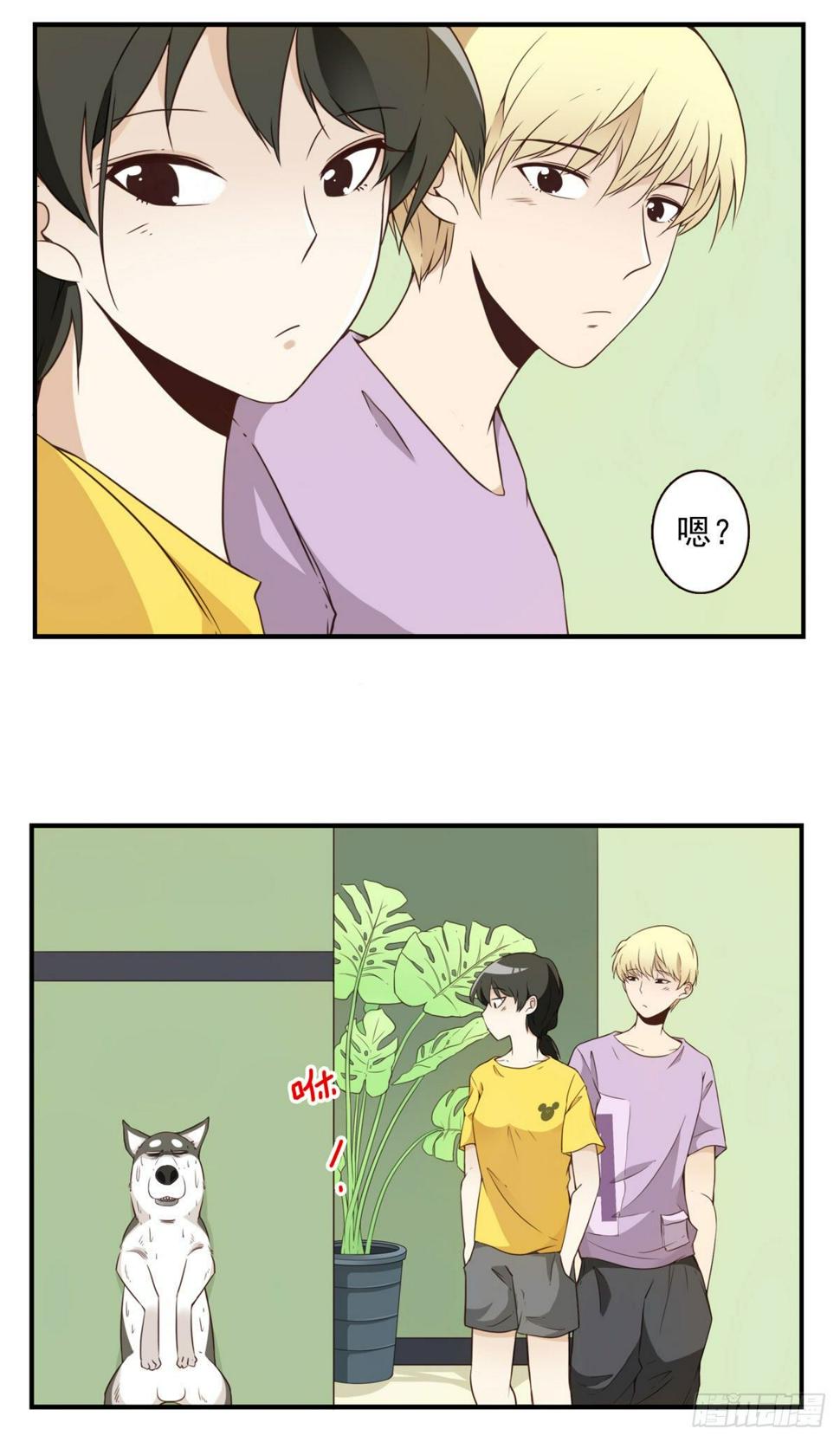 006-好丑的狗6