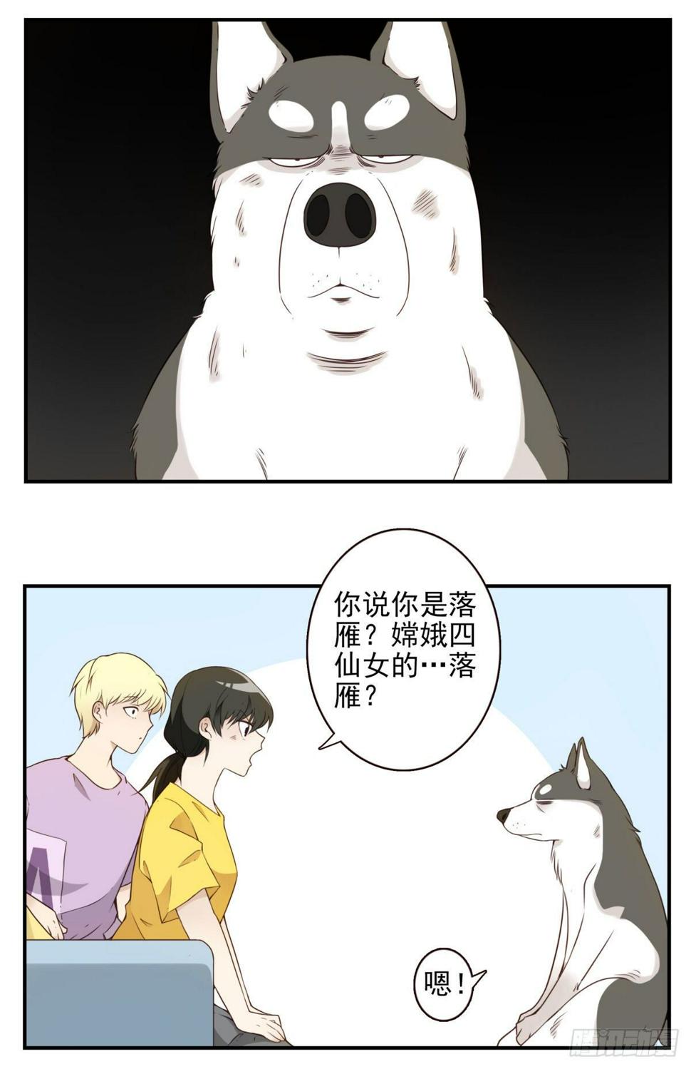006-好丑的狗23