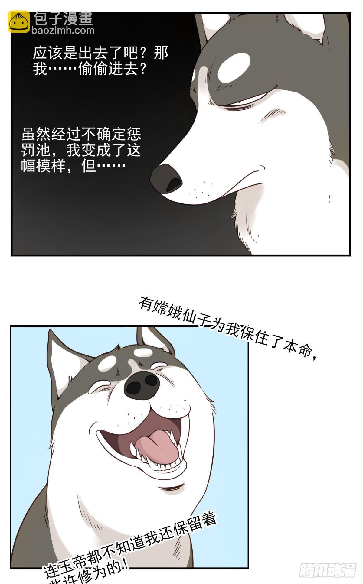 006-好丑的狗12