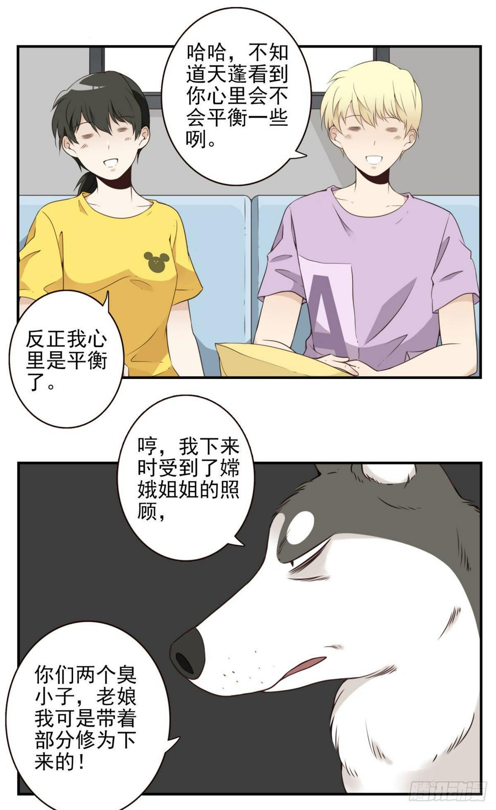006-好丑的狗26