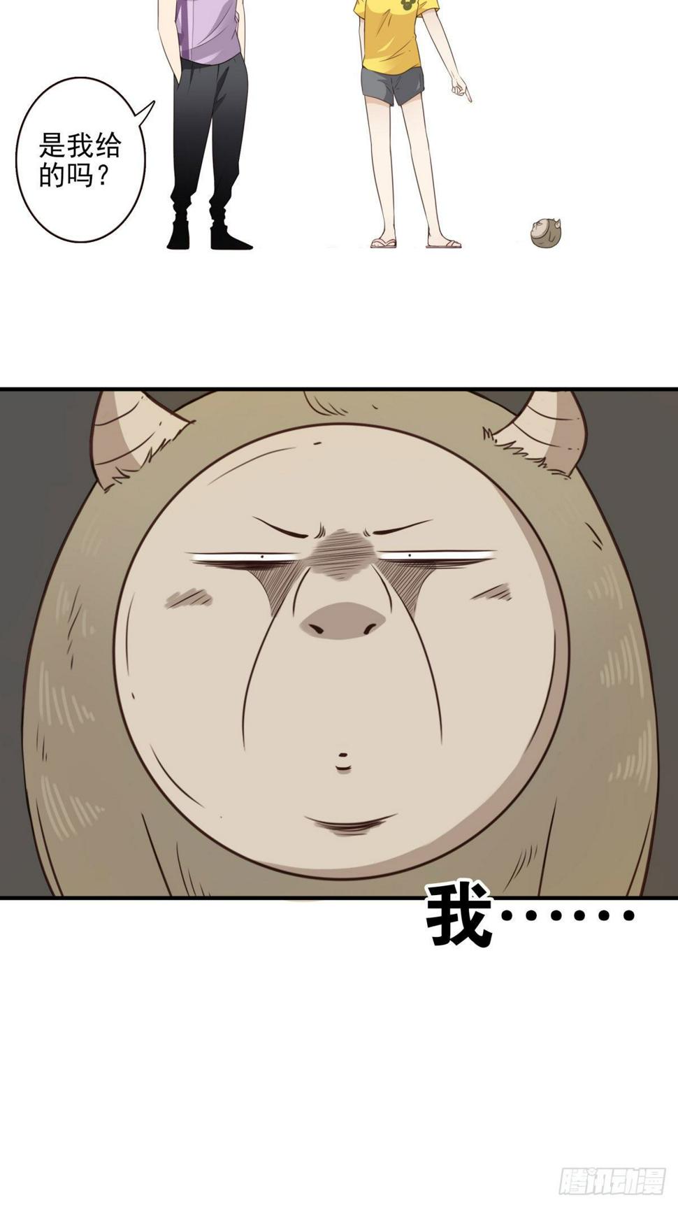 028-二等进化26