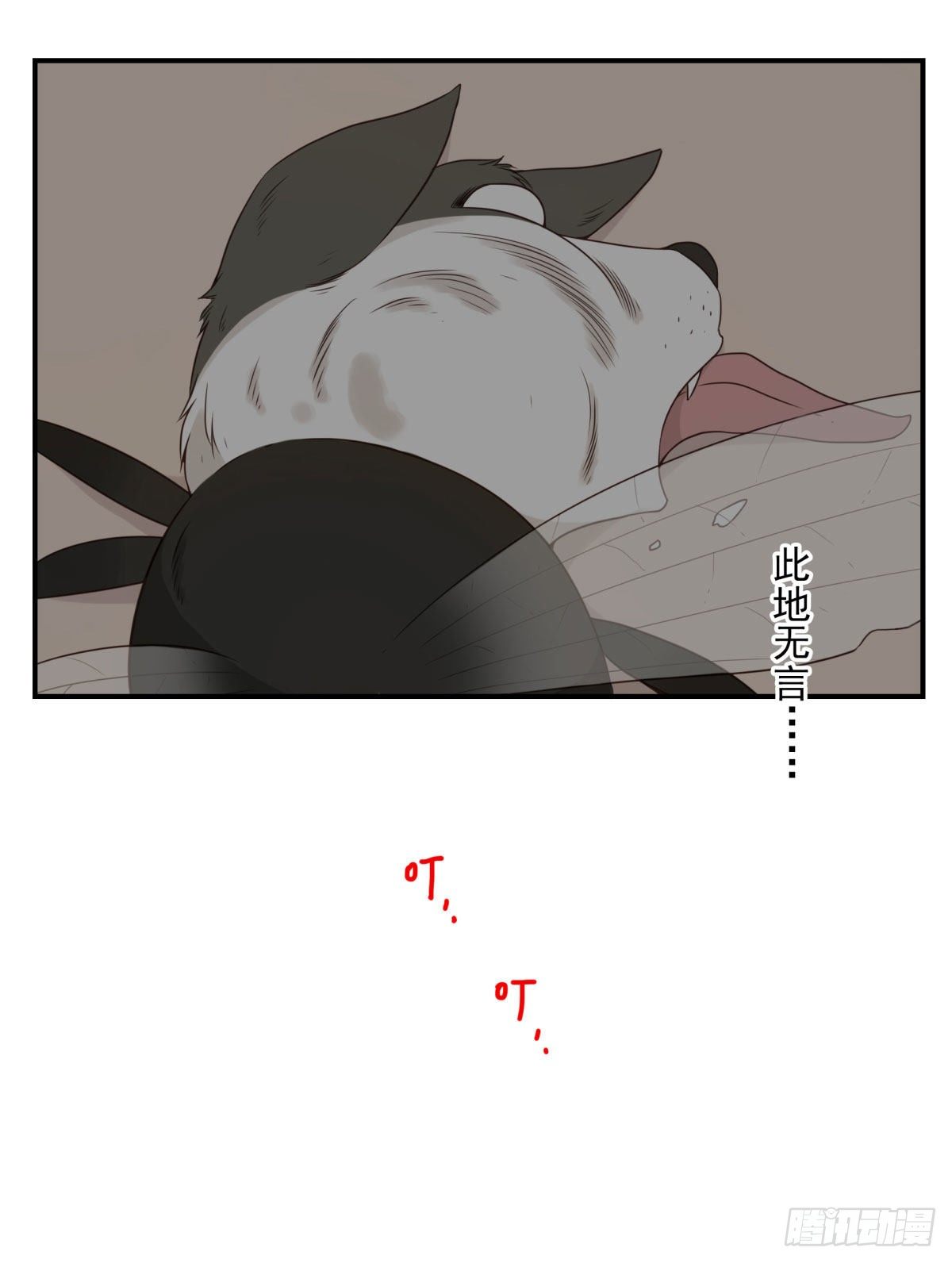006-好丑的狗22