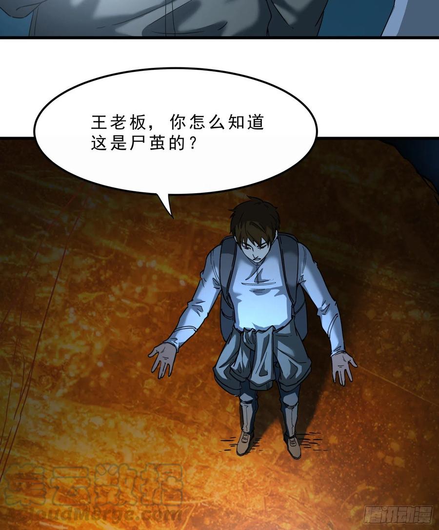 44.尸茧51