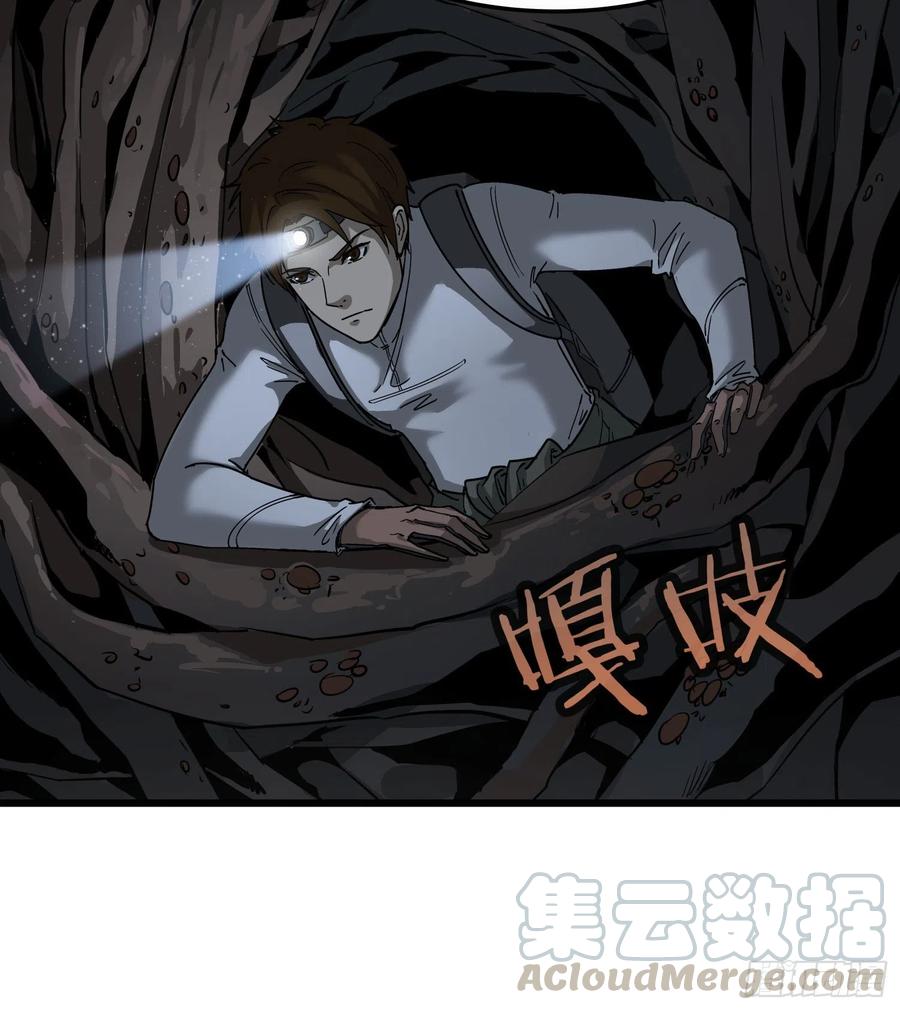 39.老套路342