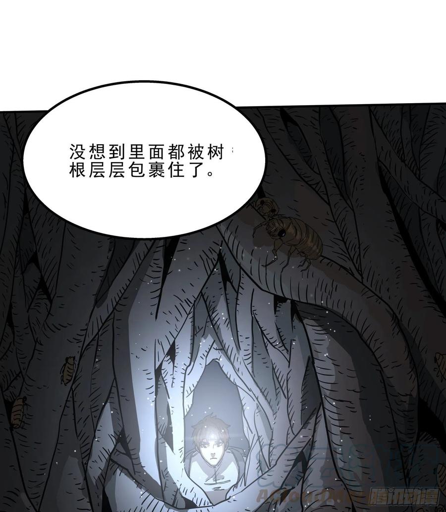 38.老套路233