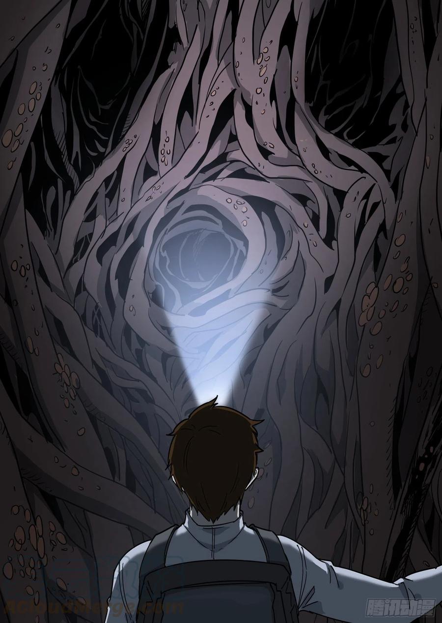 39.老套路336