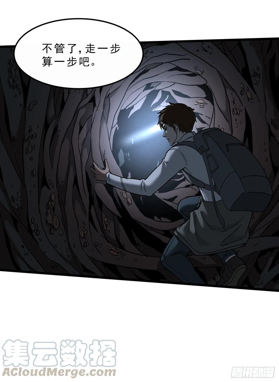 39.老套路339