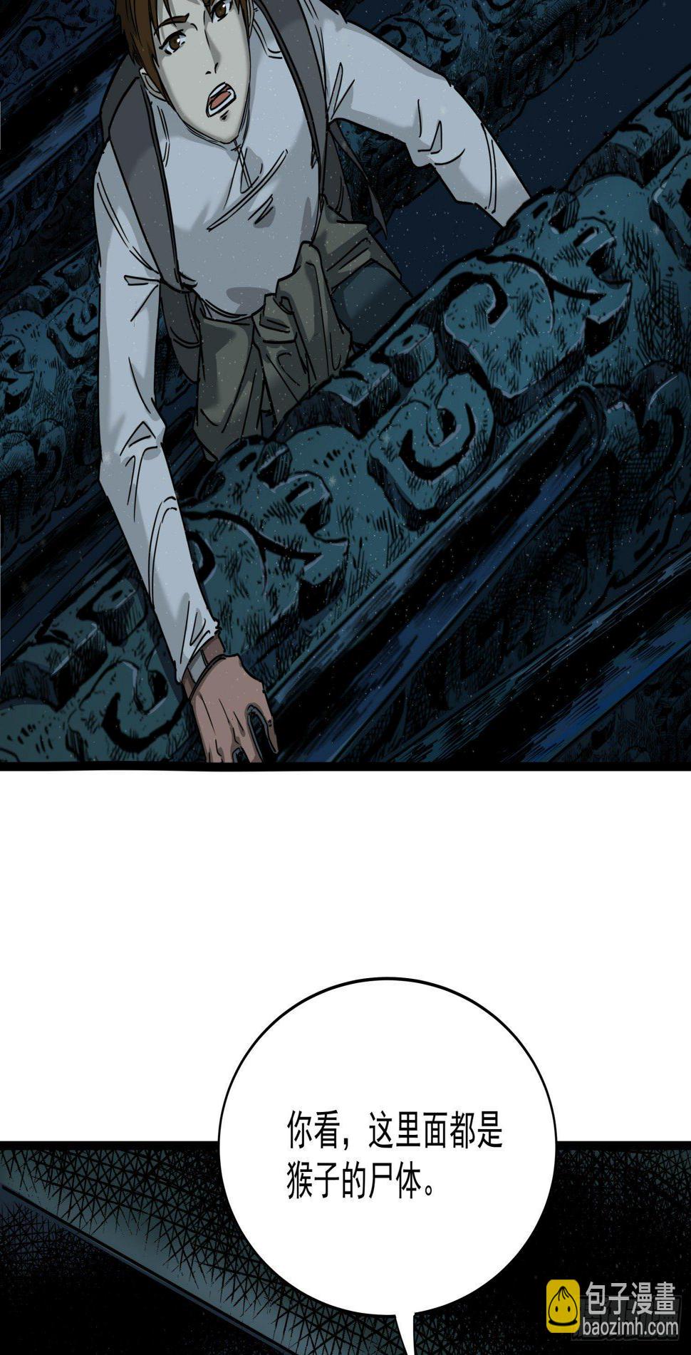 30.螭蛊2
