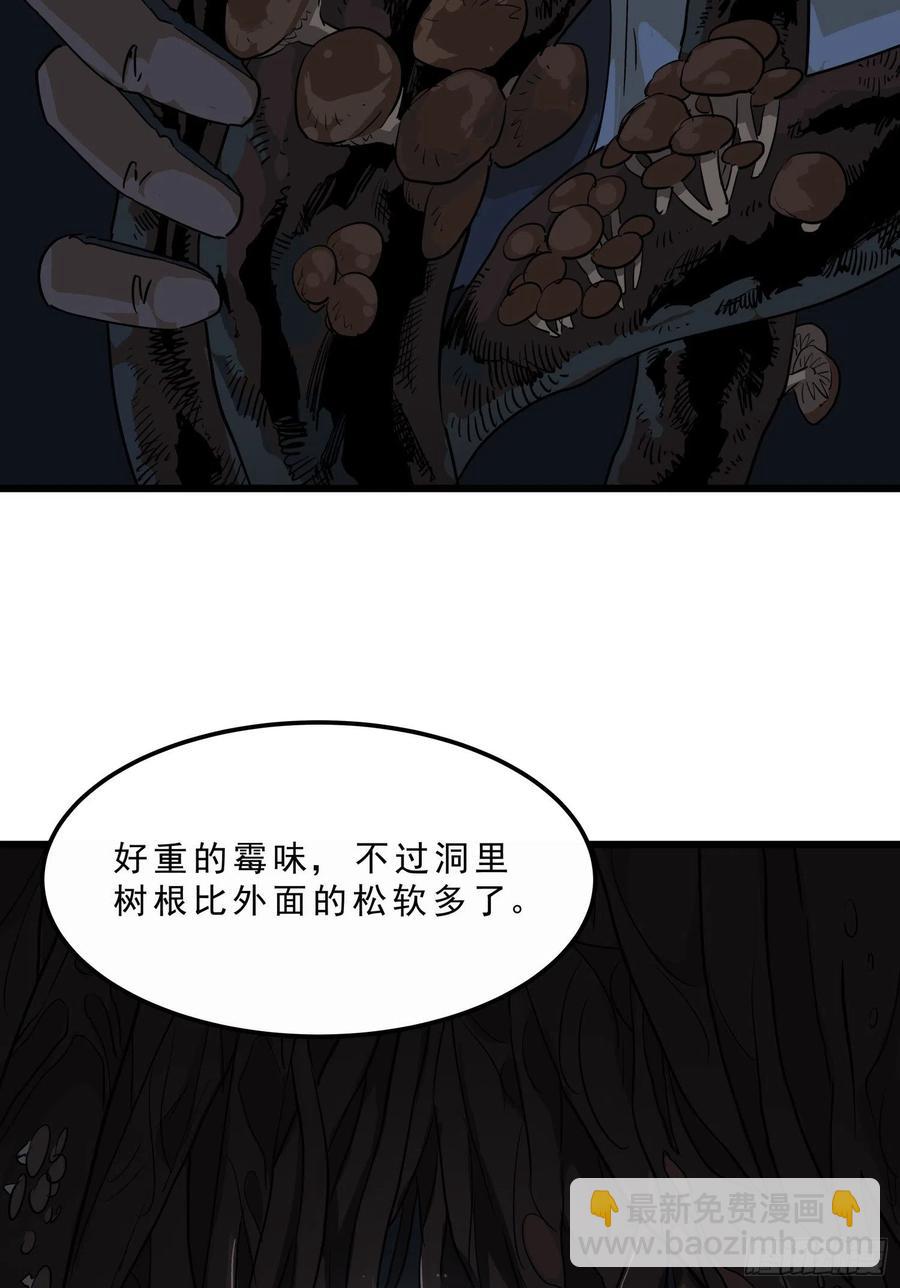 39.老套路332