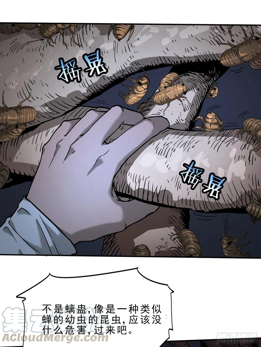 38.老套路230