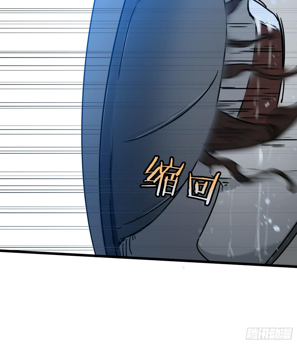 33.麒麟竭43