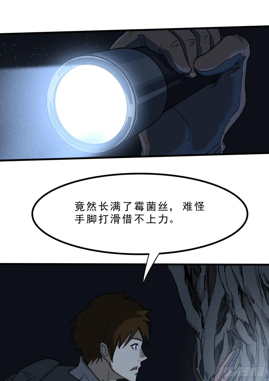 41.迷雾43