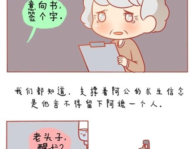 爱，无需言语25