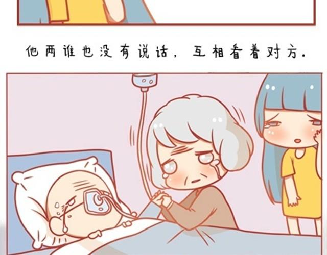 爱，无需言语31