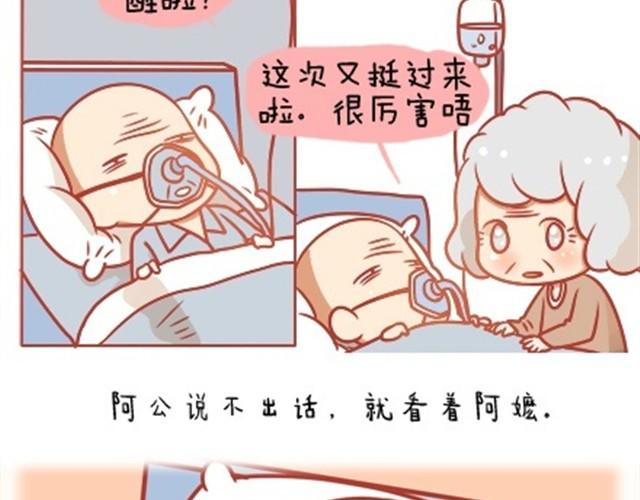 爱，无需言语26