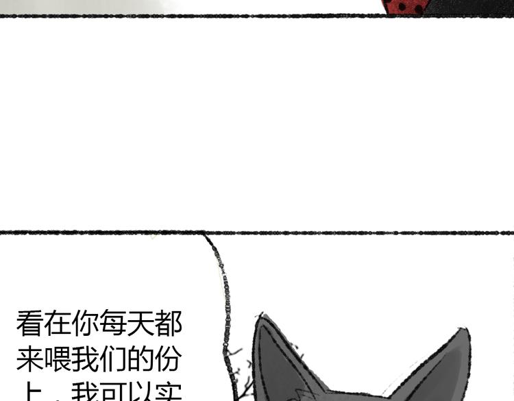 第1话 与猫咪的偶遇95