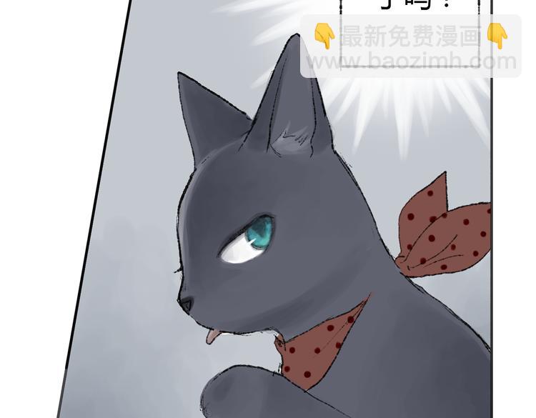 第2话 神奇的猫咪王国66
