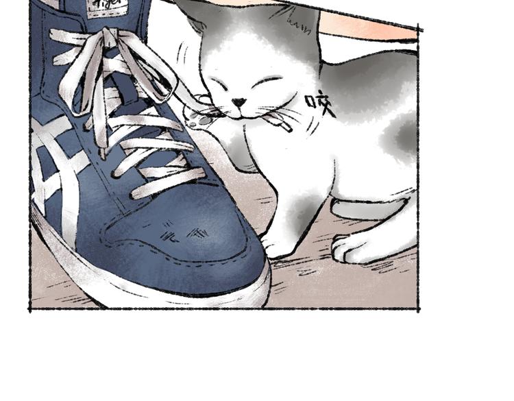 第1话 与猫咪的偶遇59