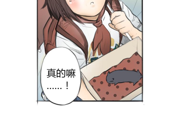 第4话 逃离猫咪王国？3