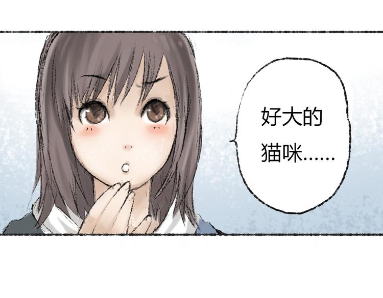 第2话 神奇的猫咪王国95