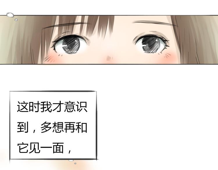 完结篇 这一切都不是梦！100