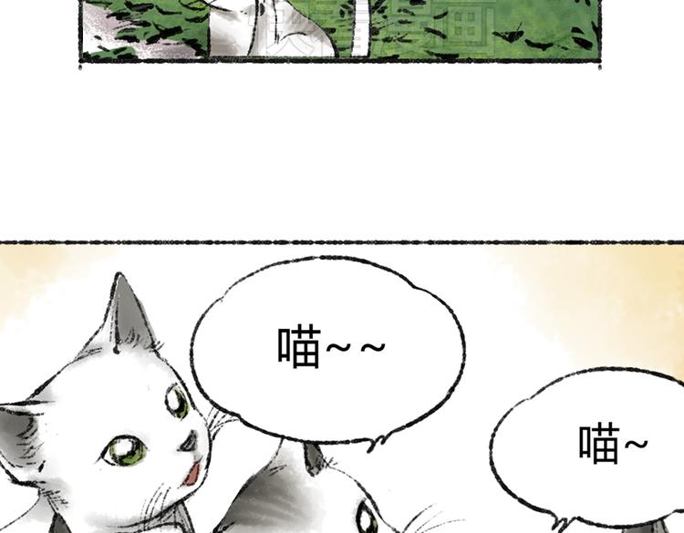 第1话 与猫咪的偶遇50