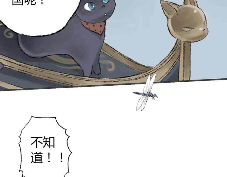 第2话 神奇的猫咪王国61