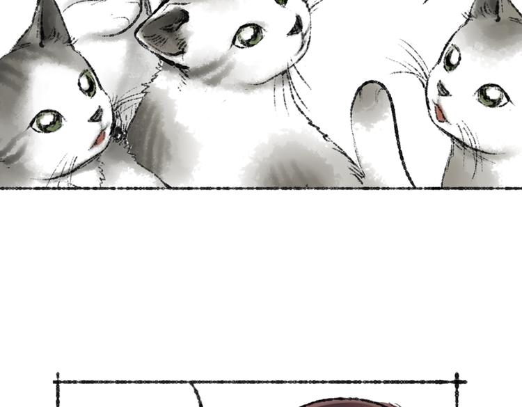 第1话 与猫咪的偶遇51