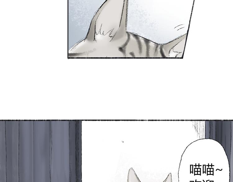 第2话 神奇的猫咪王国92