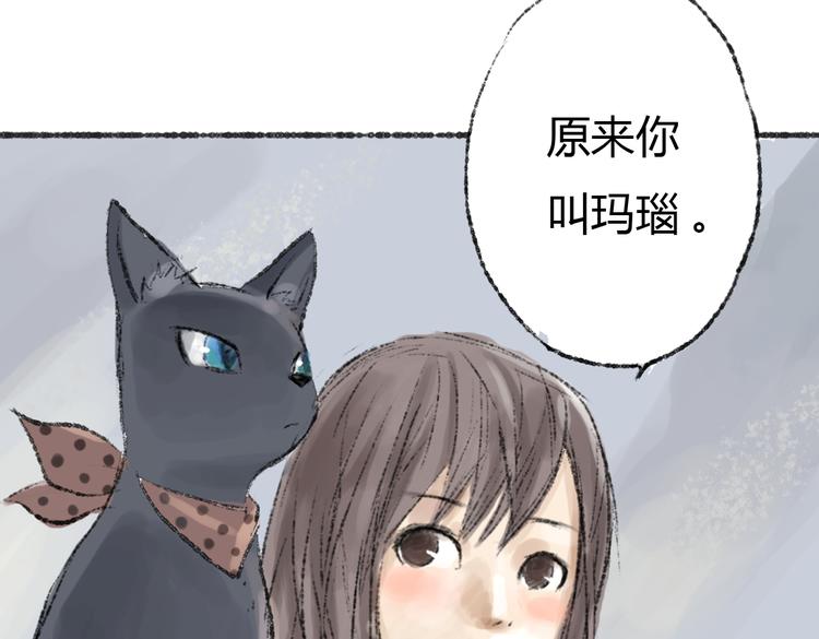 第2话 神奇的猫咪王国43