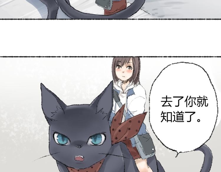 第2话 神奇的猫咪王国84