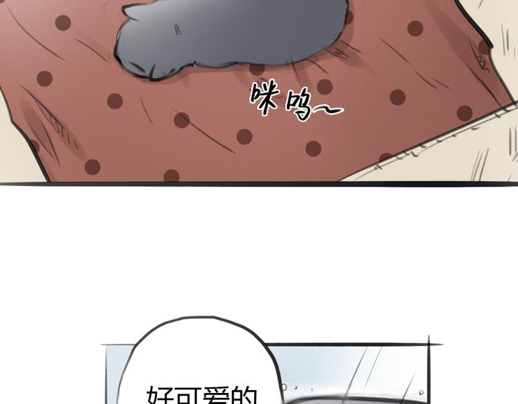 第4话 逃离猫咪王国？8