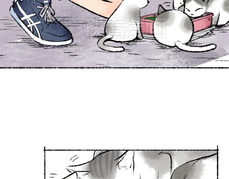 第1话 与猫咪的偶遇57