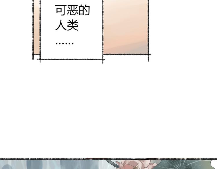 第2话 神奇的猫咪王国56