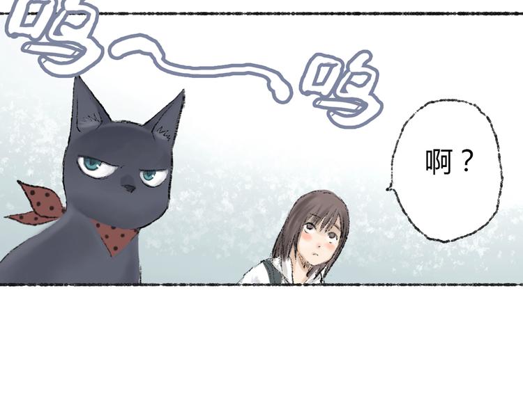 第2话 神奇的猫咪王国79