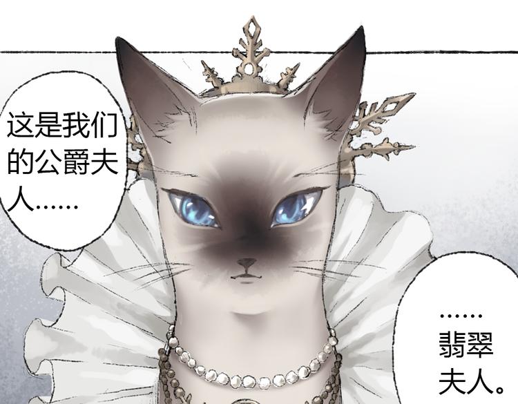 第2话 神奇的猫咪王国135
