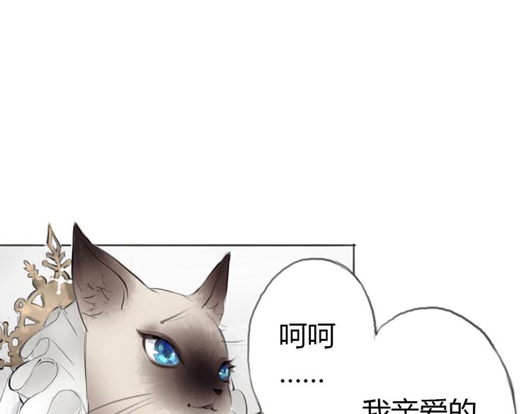 第3话 这些不是我想要的！1