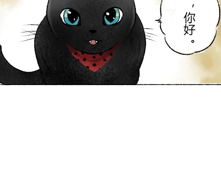 第1话 与猫咪的偶遇88